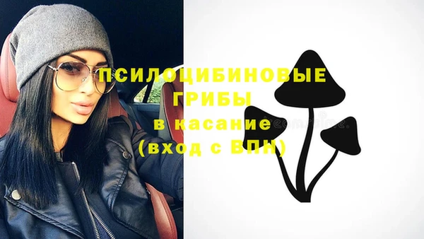 амф Белокуриха