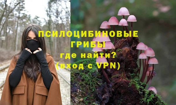 амф Белокуриха