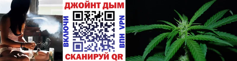 Конопля ГИДРОПОН Бежецк